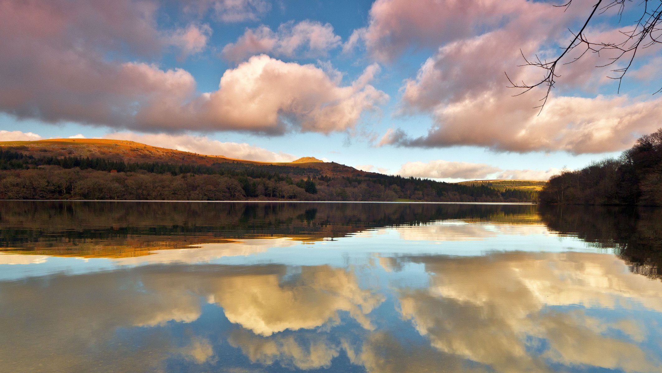 lake hill sky clouds reflection branch