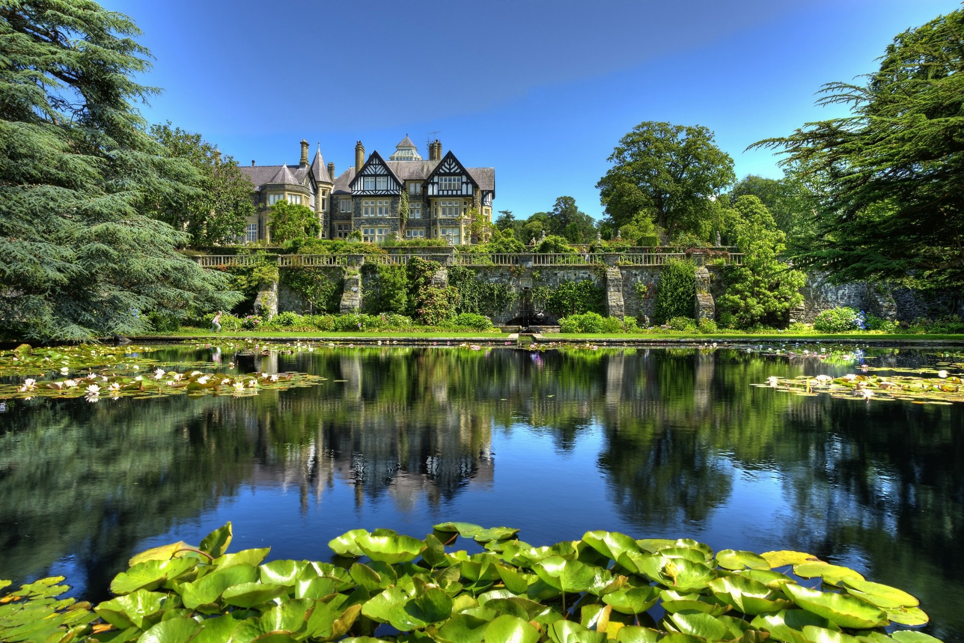 tyne-y-groes wales england park teich lilien blätter