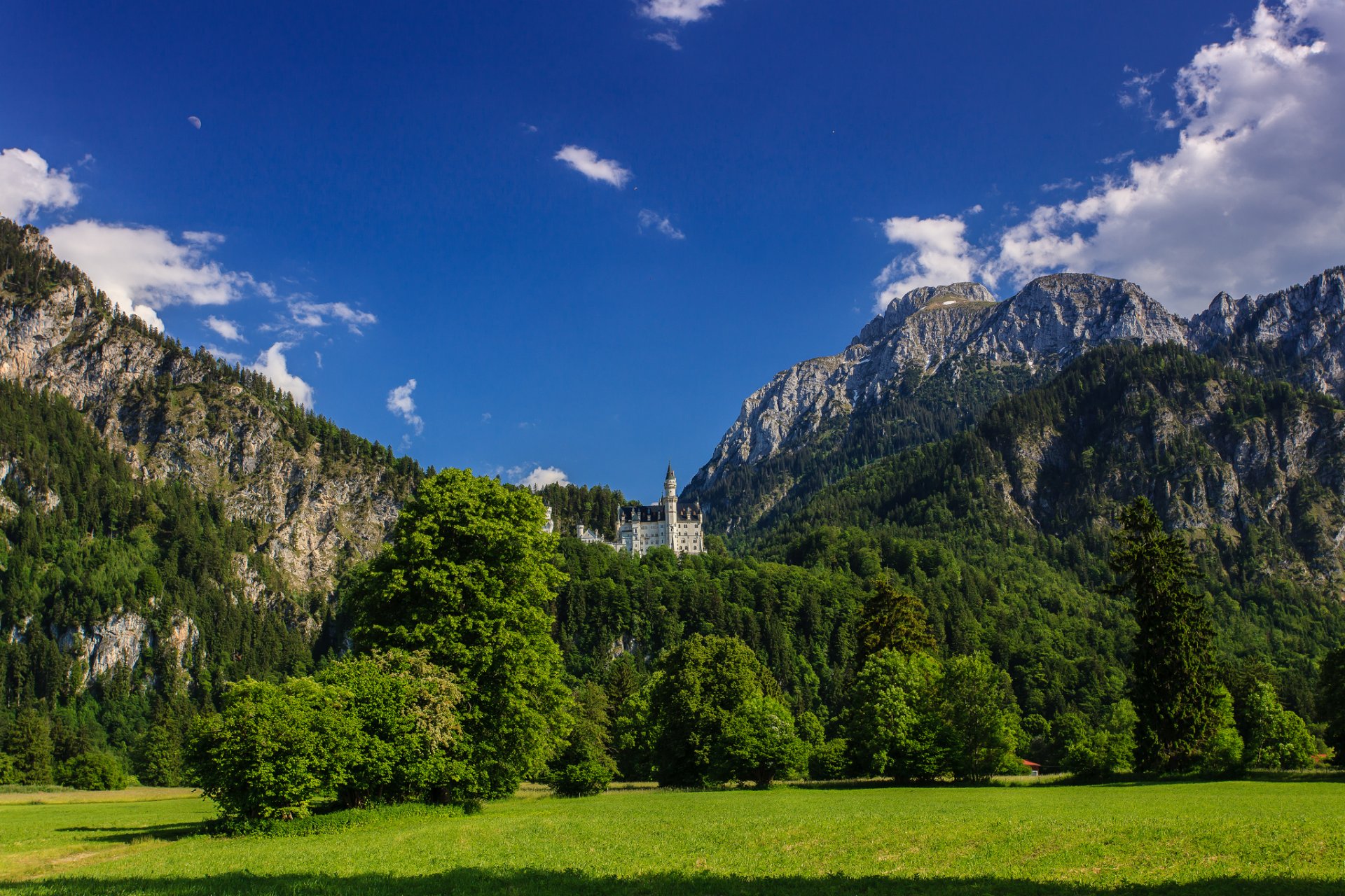 castillo de neuschwanstein baviera alemania montañas pradera árboles