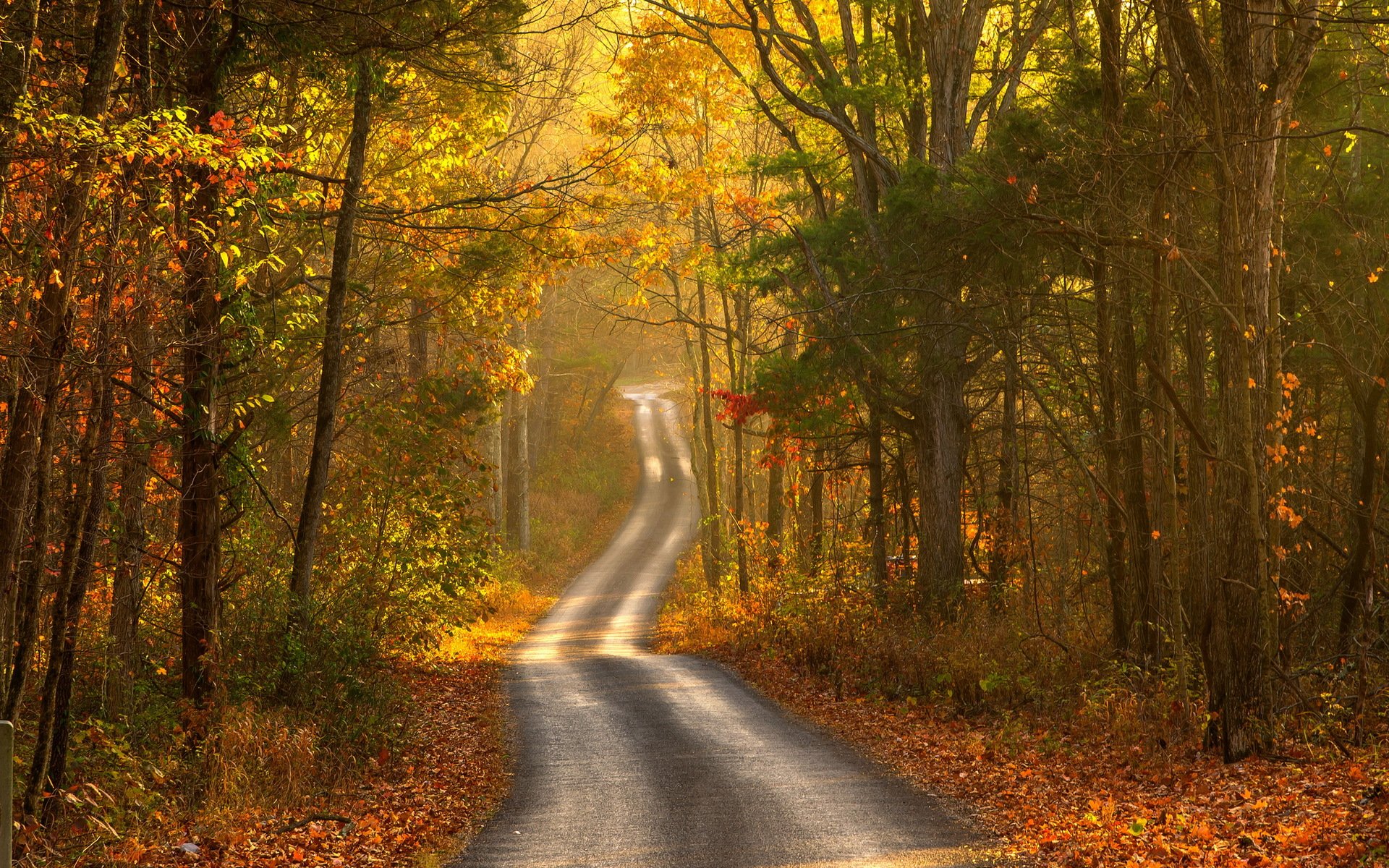 road autumn landscape