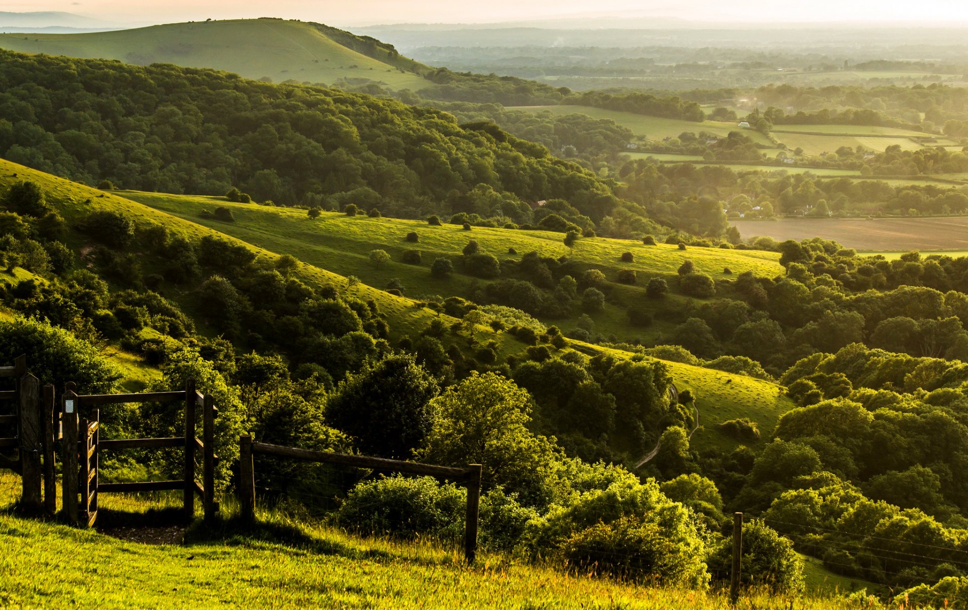 pyecombe west sussex angleterre royaume-uni collines champs ferme clôture clôture arbres vert nature paysage soirée