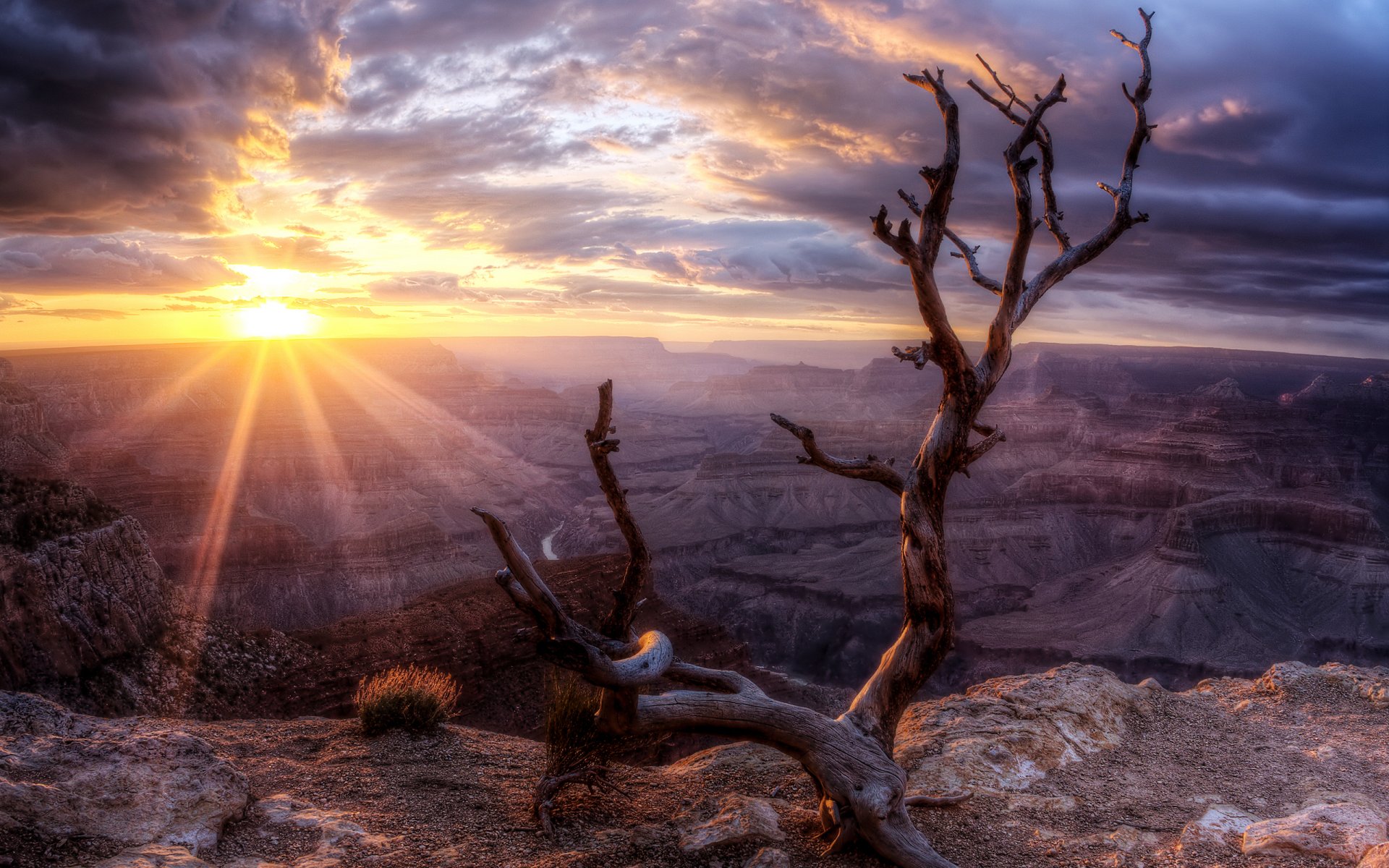 zachód słońca dolina skała drzewo słońce arizona wielki kanion