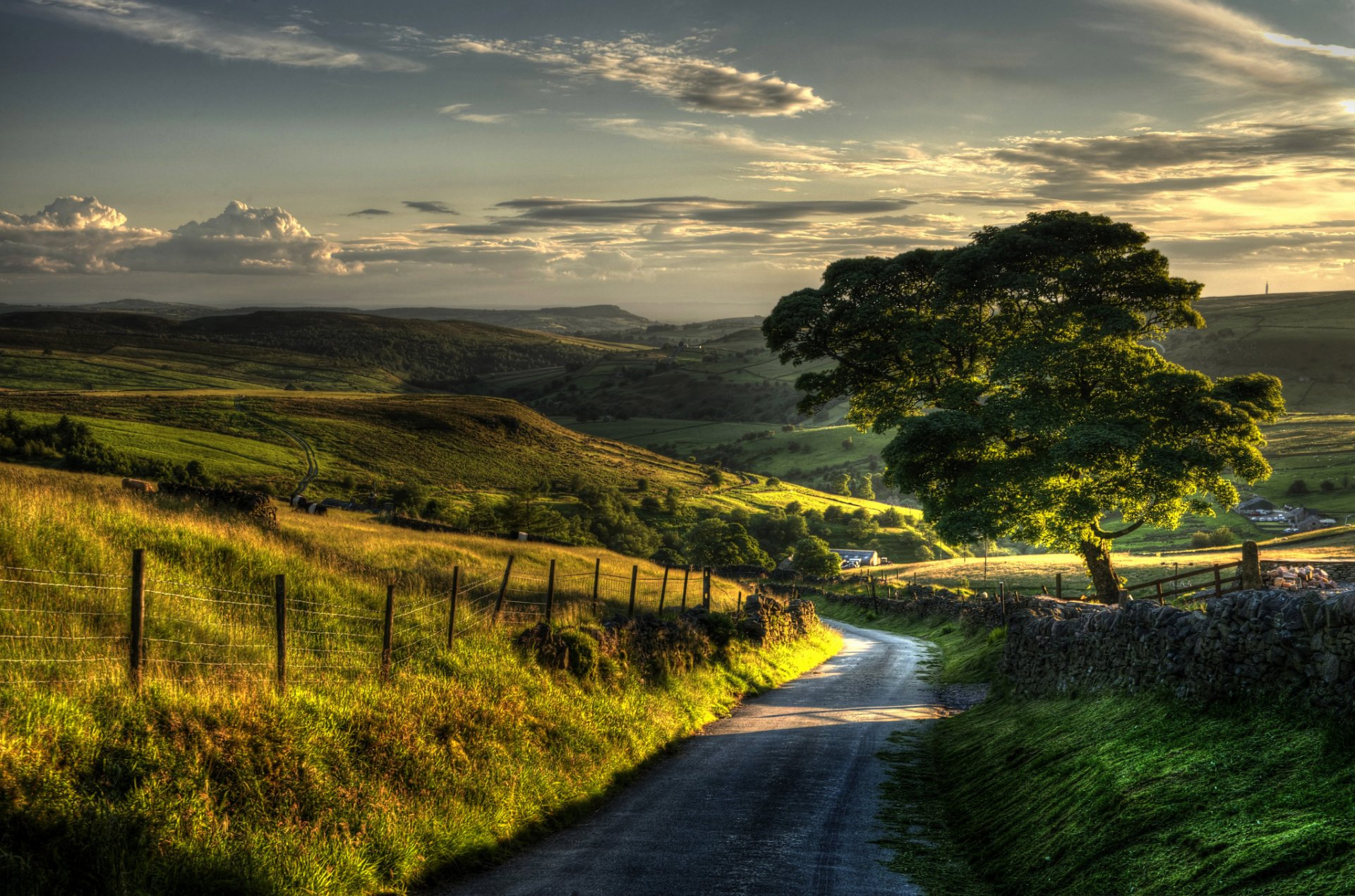 landscape nature tree trees leaves leaves foliage greenery grass fence gate fence fence hill hills sky background wallpaper widescreen fullscreen widescreen widescreen