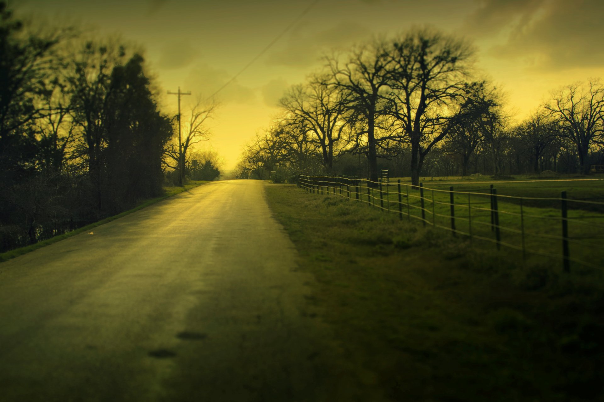 landscape nature tree trees leaves leaves foliage grass greenery meadow path path road evening sky clouds macro macro blur background wallpaper widescreen fullscreen widescreen widescreen full