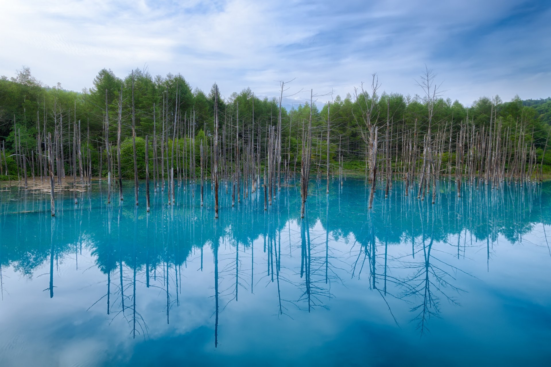 japón hokkaido estanque azul reflexión árboles cielo nubes estanque azul