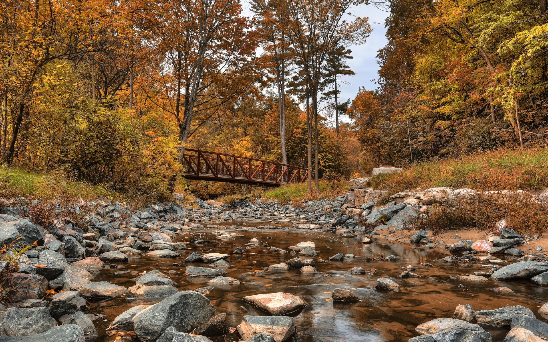 wilket creek park canada fiume foresta autunno ponte alberi pietre