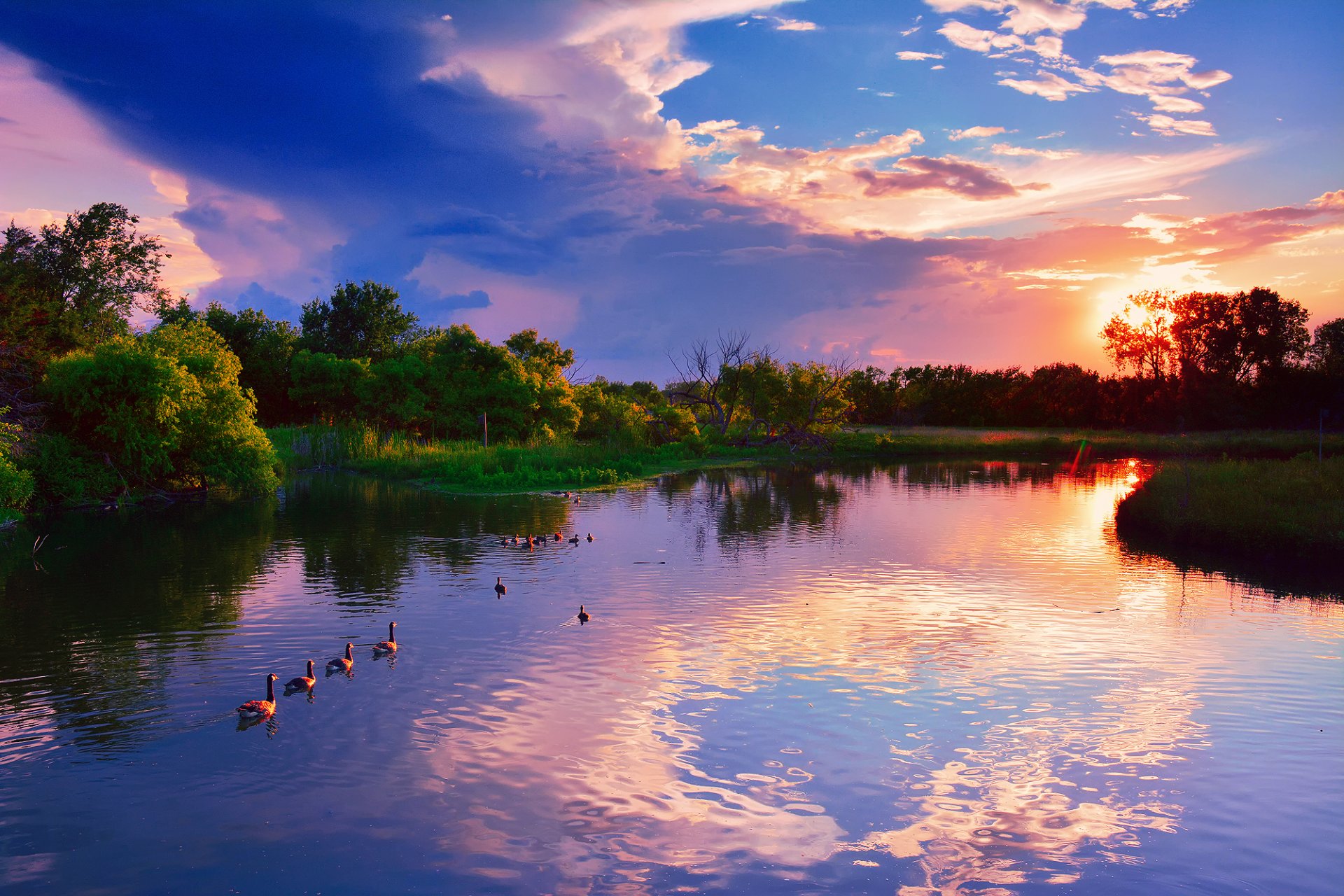 états-unis kansas wichita wichita parc de cheesem creek été coucher de soleil juillet lac arbres canards réflexions