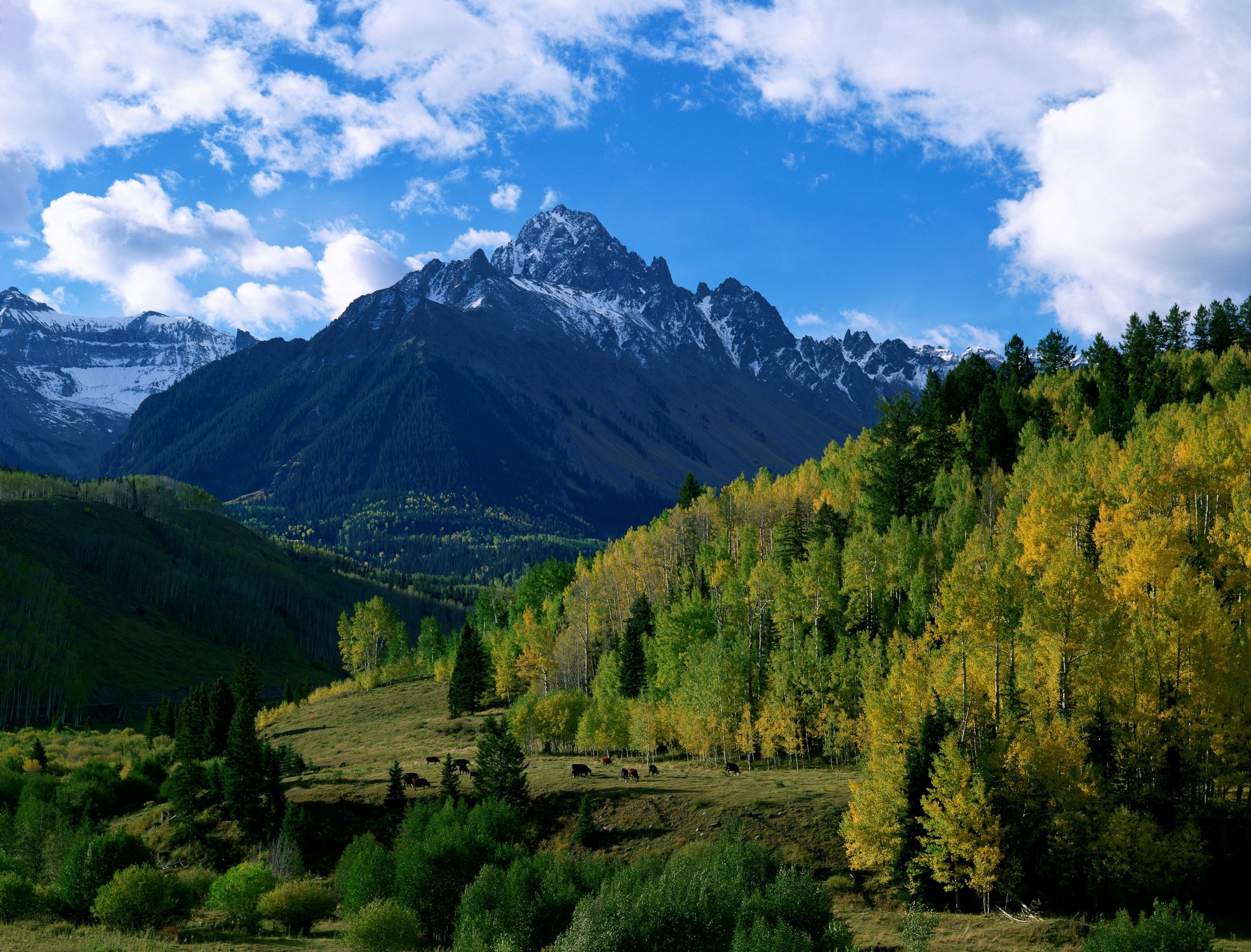 montañas colinas bosque árboles otoño cielo nubes naturaleza