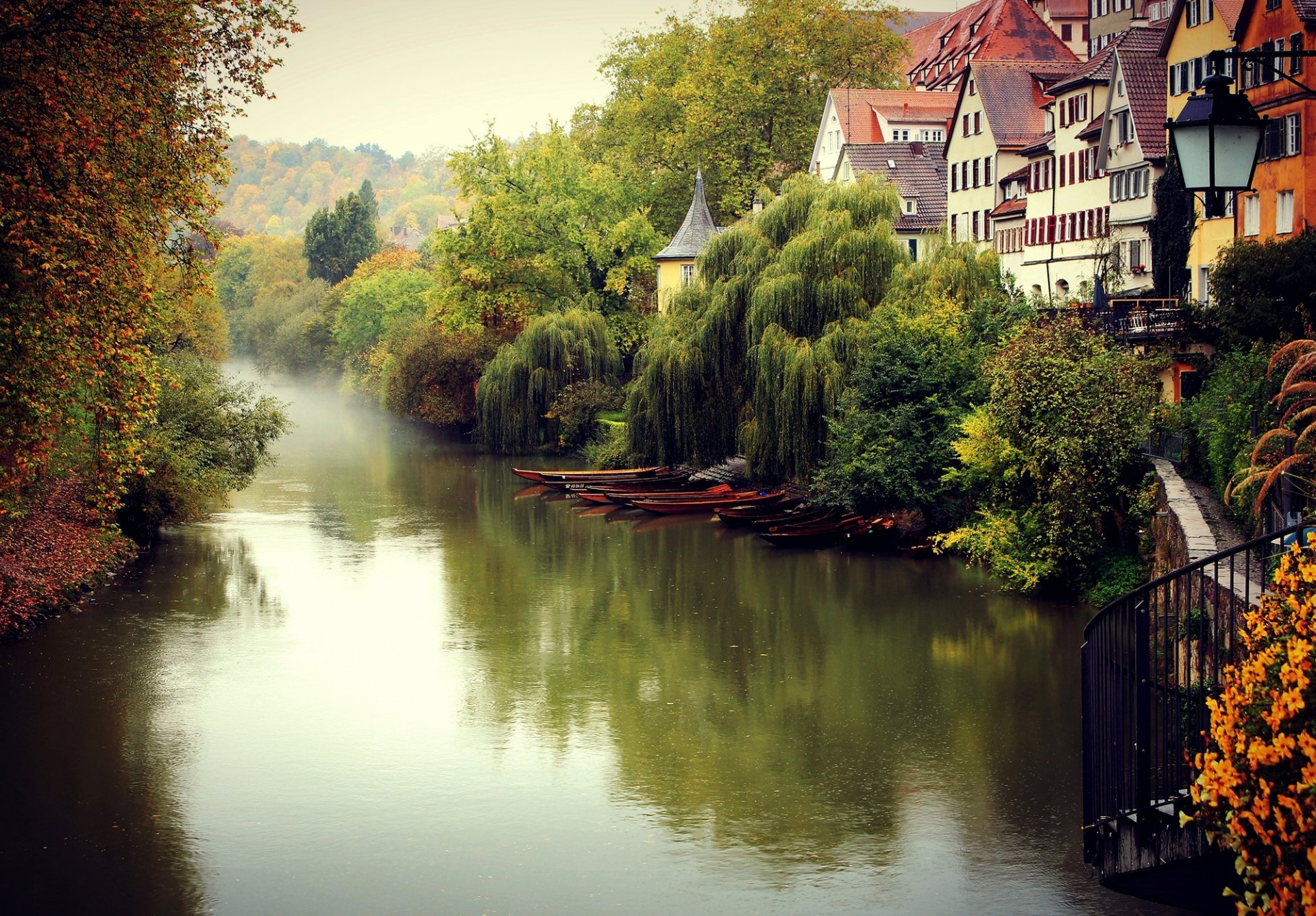 tübingen тюбинген германия осень туман город река деревья дома здания