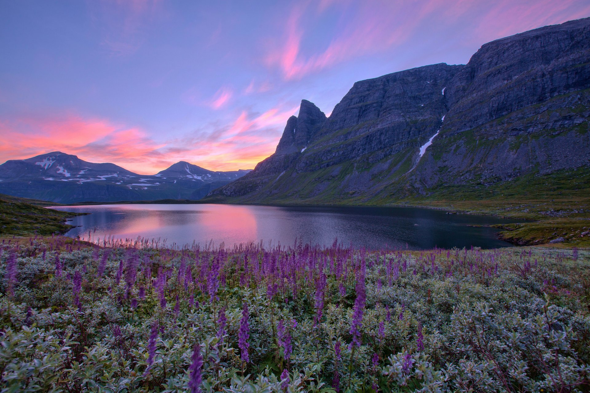 norvegia lago montagne fiori alba