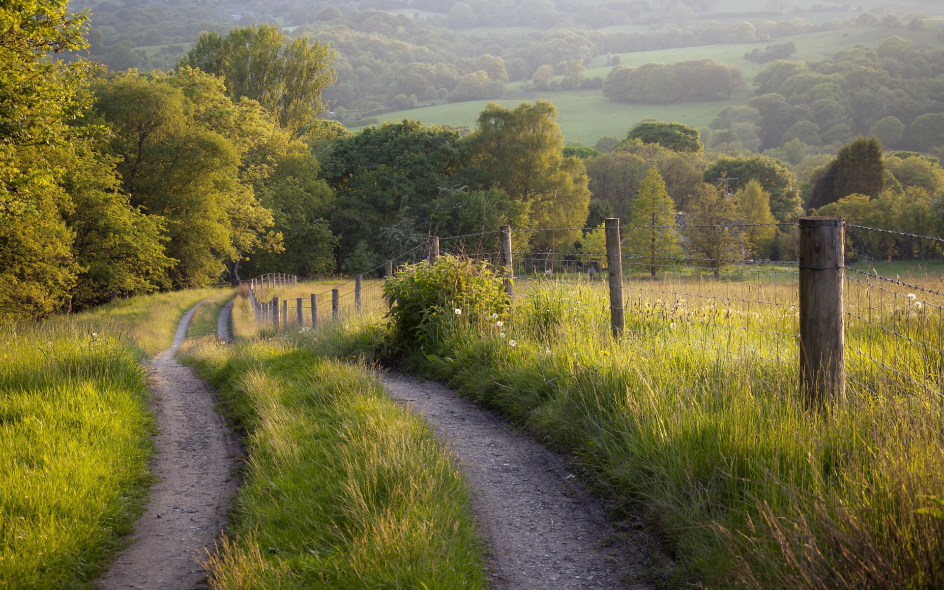 straße zaun sommer landschaft