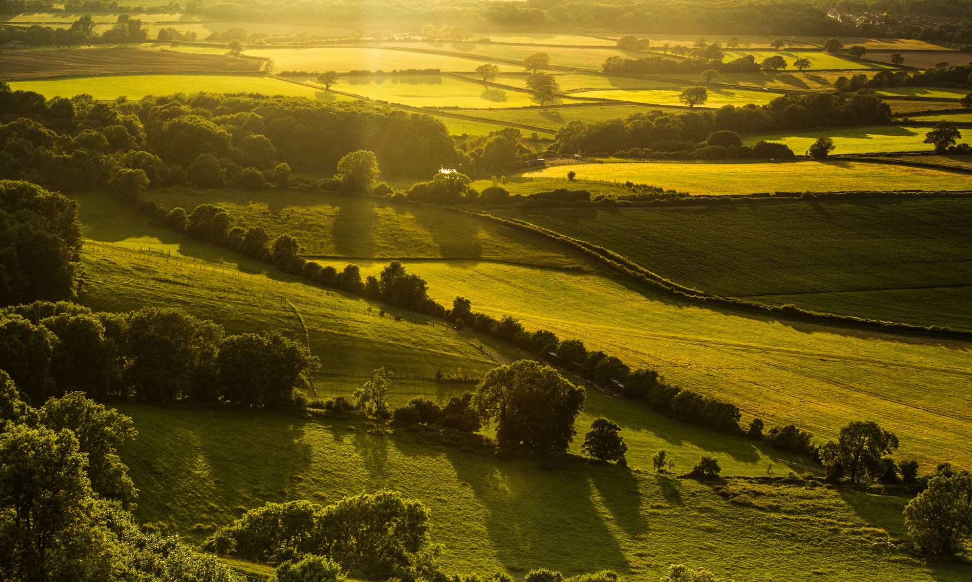 hassocks angleterre royaume-uni nature paysage collines champ verdure arbres lumière soirée