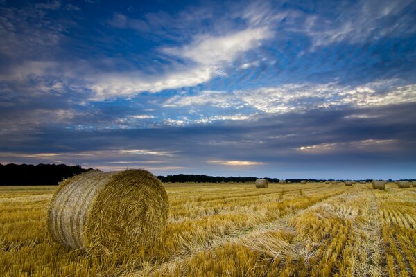 Beautiful clouds on a field with hay