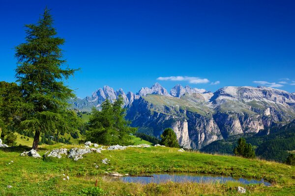 Grüne Bäume und ein See vor dem Hintergrund der Alpen