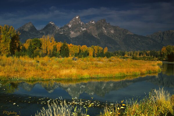 Herbstlandschaft mit gelben Bäumen auf dem Hintergrund der Berge