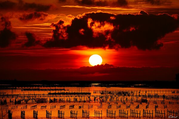 Postes de la cerca en el fondo de la puesta del sol