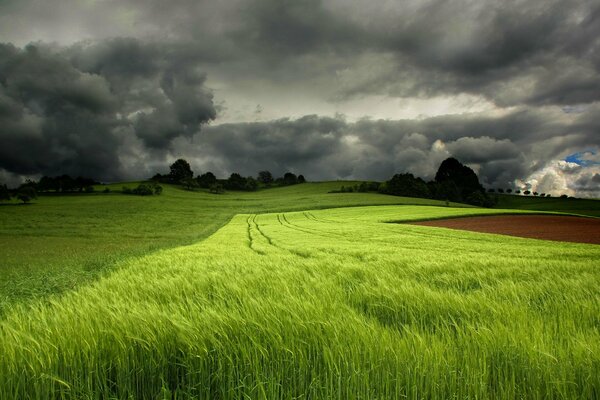 Un campo verde en medio de un cielo nublado y siniestro