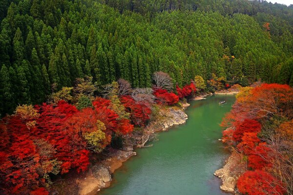 La increíble belleza de Arashiyama y el bosque mágico