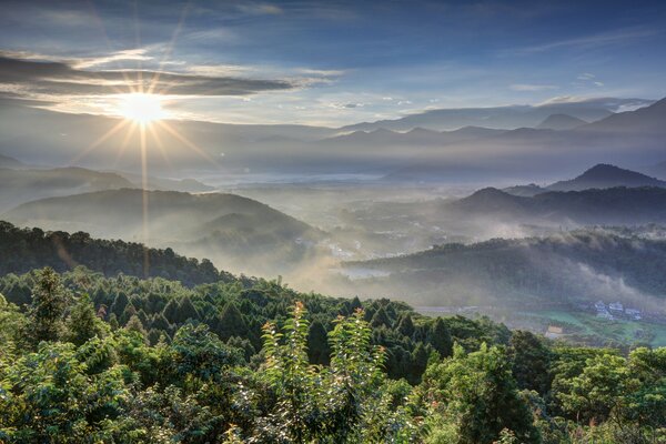 Sunrise over the forest in the mountains