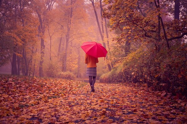 Fille avec parapluie rouge dans le parc d automne