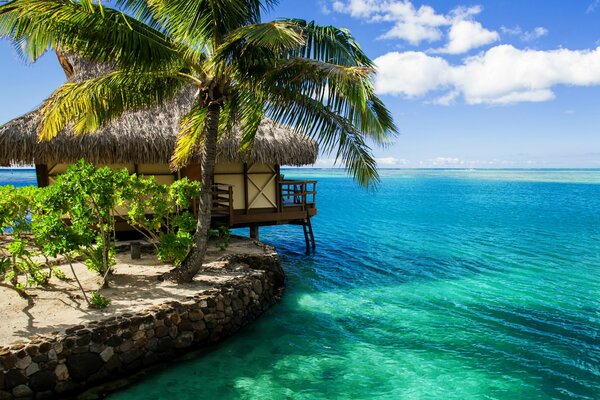 Maldives Oceanfront Bungalow