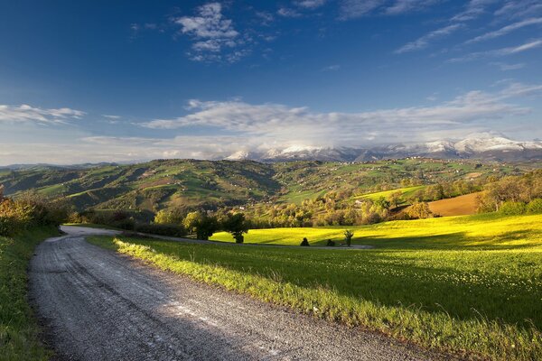 Camino de verano en las montañas