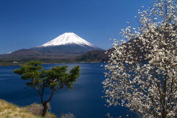 Der Berg Fuji erhebt sich majestätisch über dem Wasser