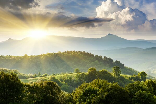 Рассвет солнца над зелеными холмами