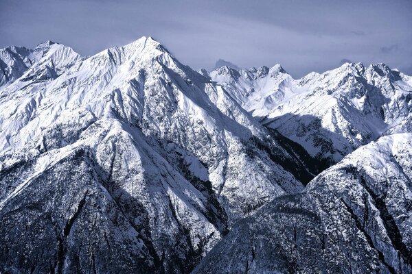 Fredde maestose Alpi innevate nella foto