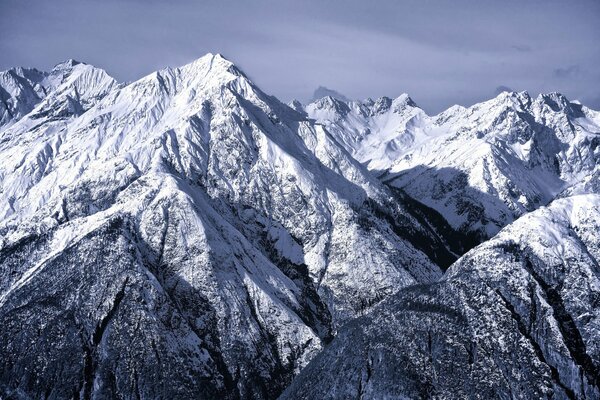 Холодные величественные снежные альпы на фотографии