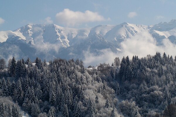 Romania Transylvania- Carpathian Mountains