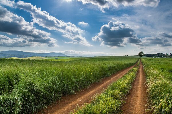 Straße in einem Feld mit grünem Gras