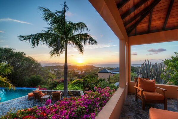 Landschaft der britischen Jungferninseln von der Terrasse bei Sonnenuntergang inmitten von Blumen und Grün