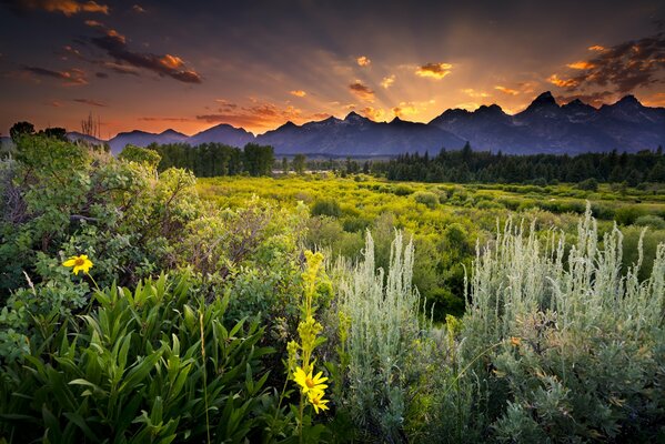 Puesta de sol nublada en Snake River