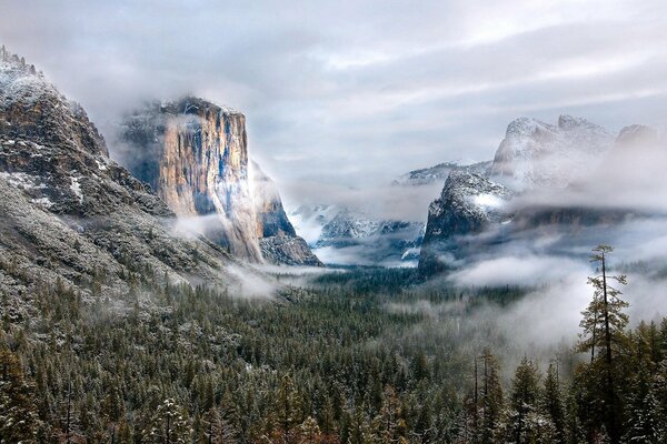 Fog in the mountains with forest and clouds