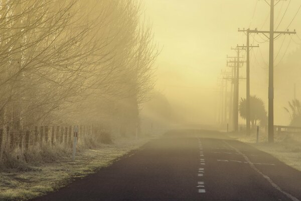 Lack of visibility on the road on a foggy morning