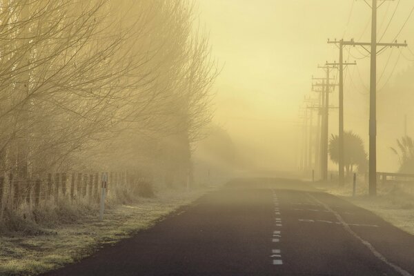 Falta de visibilidad en la carretera por la mañana brumosa