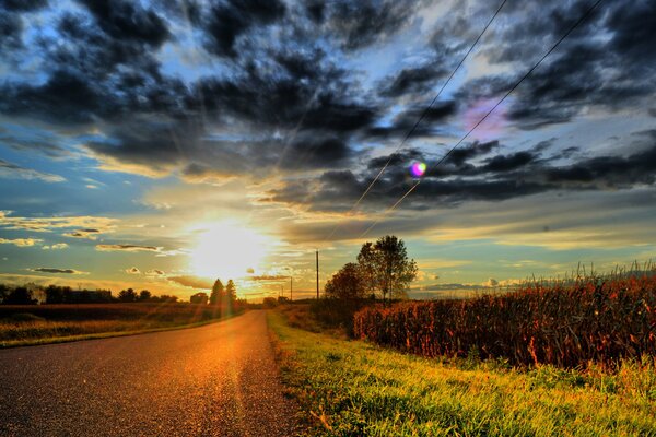 Photo de paysage coucher de soleil, nuages et plantes