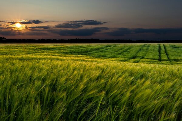 Landschaft der Natur auf Sonnenuntergang Hintergrund