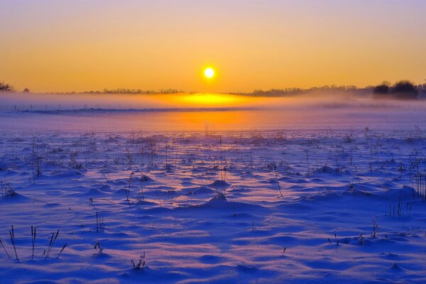 Amanecer de invierno en la tundra