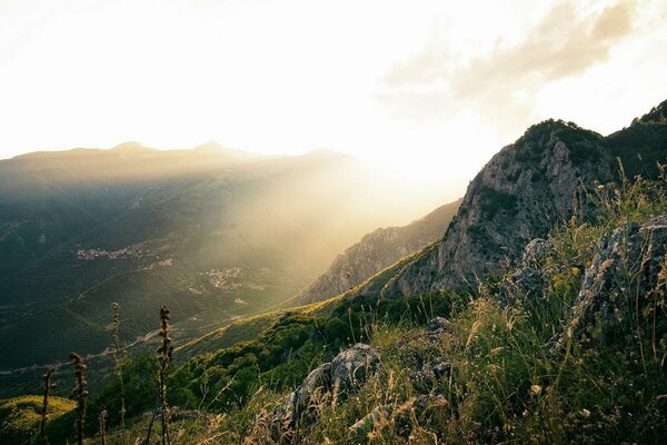 Grass growing on the mountainside