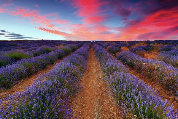 La naturaleza de la noche es la más hermosa en cualquier parte del mundo