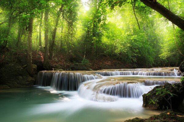 Waterfalls in dense forests