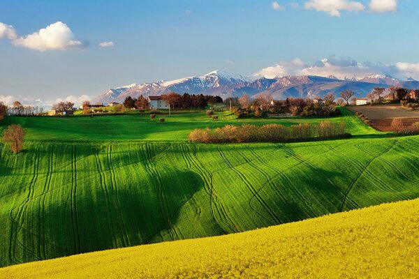 Campos de canola en Italia en primavera en medio de montañas y árboles