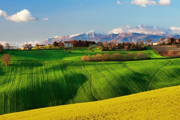 Campi con colza in Italia in primavera sullo sfondo di montagne e alberi