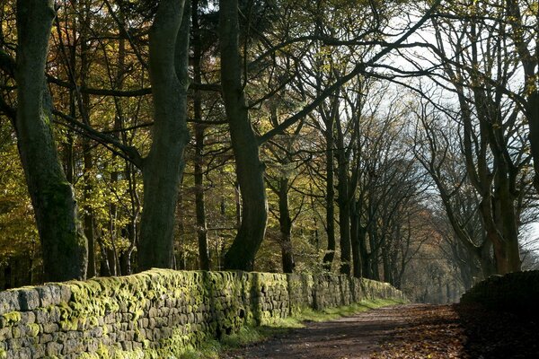 I like autumn for its warm landscapes