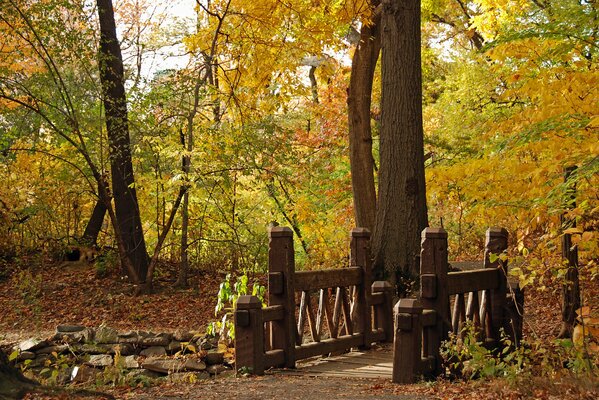 Natur des goldenen Herbstes im Park