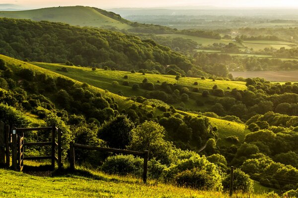 Знленые фермерские поля и холмы в Великобритании