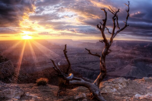 Фото гранд-каньона на закате