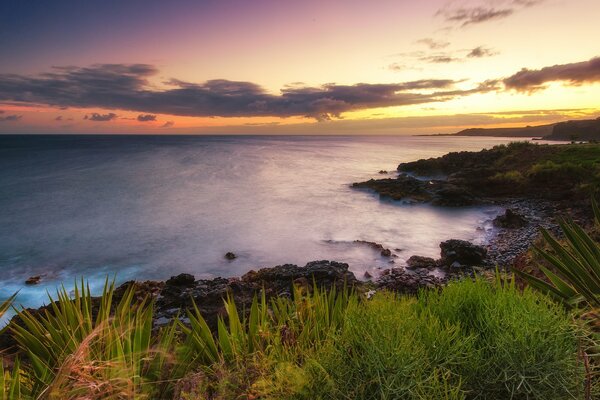 Coucher de soleil hawaïen sur la côte de l océan